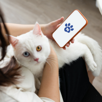 Cat Tech & Smart Home