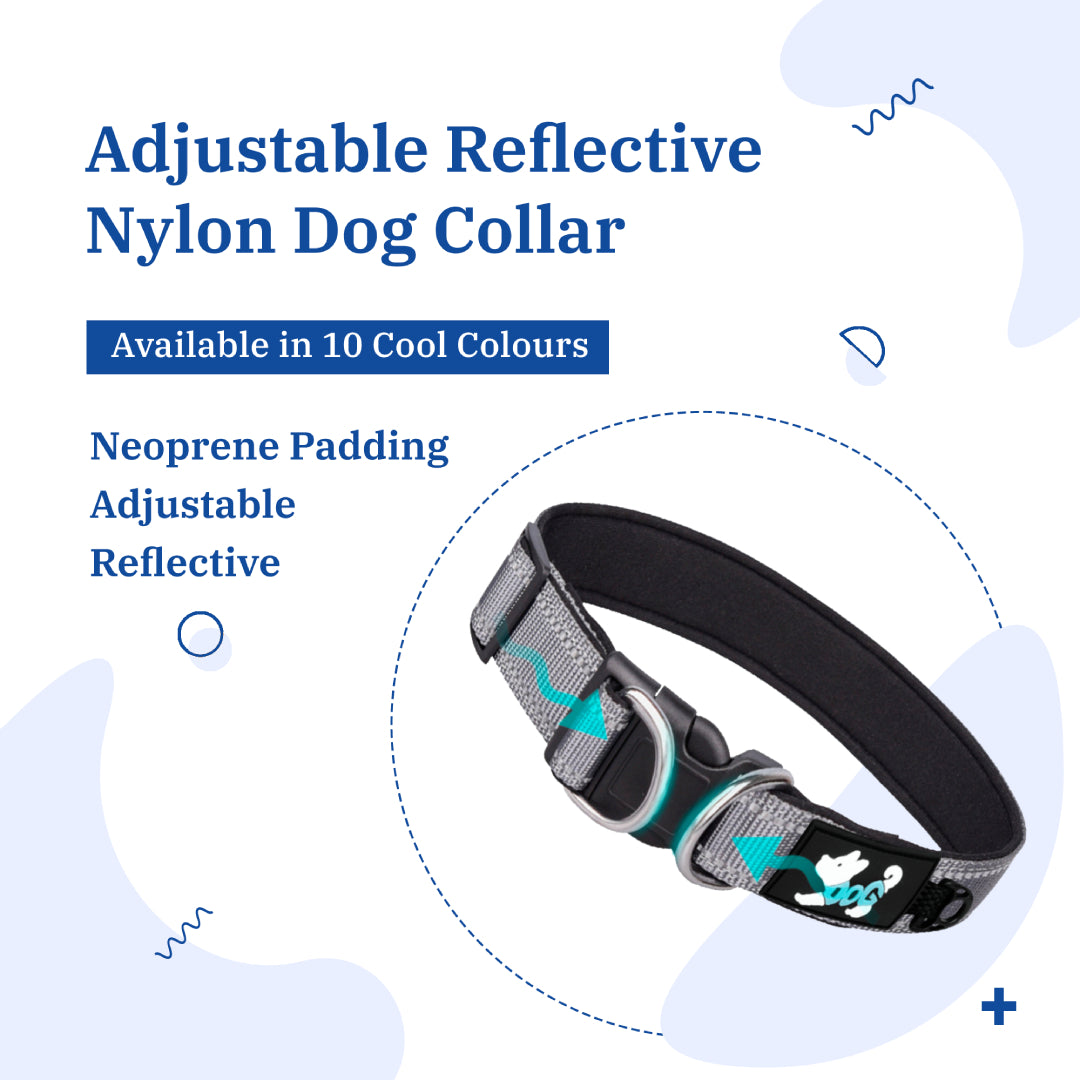 adjustable reflective nylon dog collar with neoprene padding2