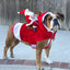 christmas red santa snowman riding outfit dog clothes
