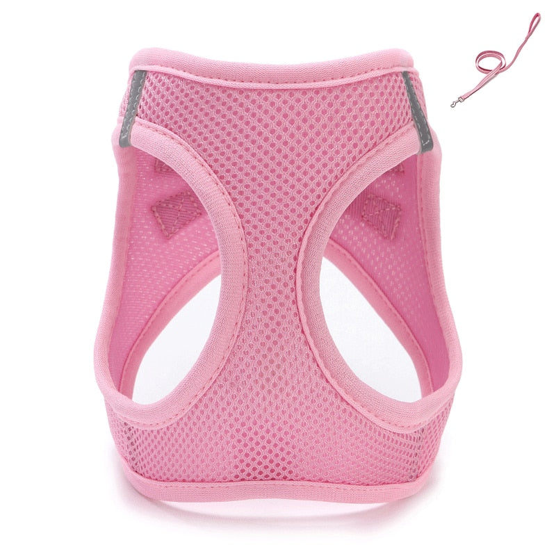 Pet Harness: Adjustable Dog & Cat Harness with Leash | Breathable Mesh | Soft Fabric