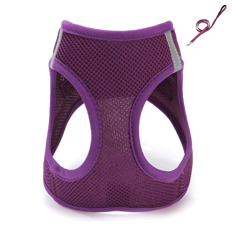 Pet Harness: Adjustable Dog & Cat Harness with Leash | Breathable Mesh | Soft Fabric