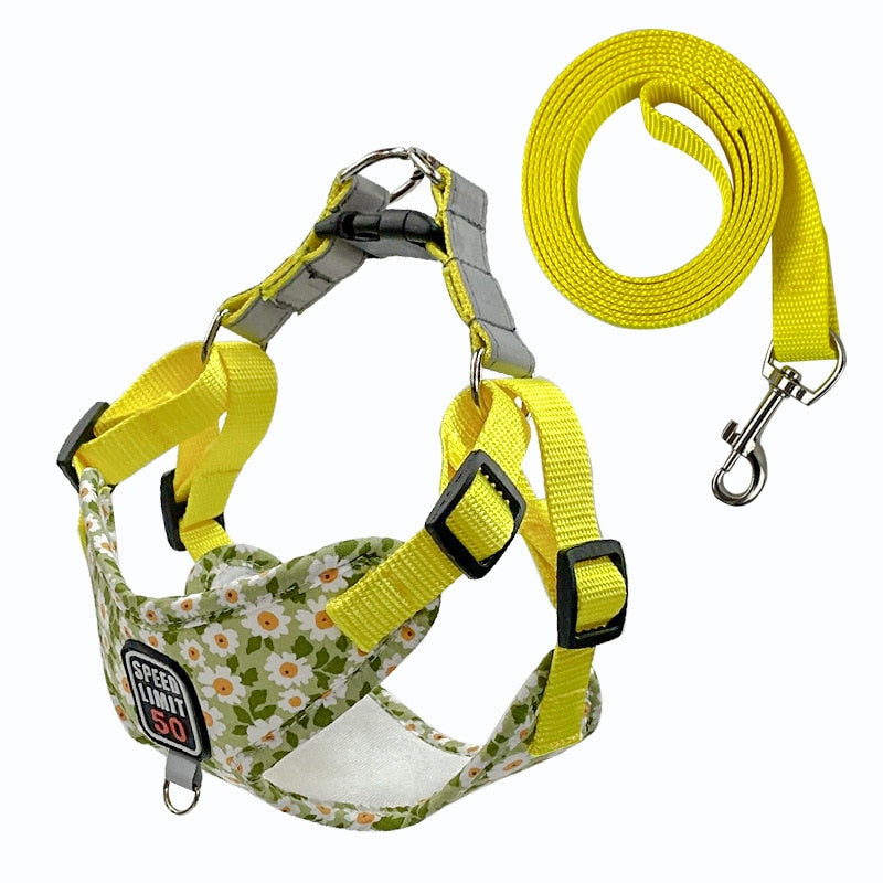 fashion printed nylon dog harness3