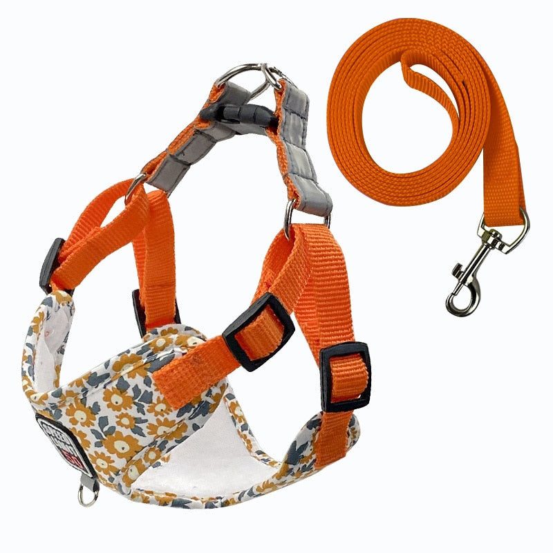 fashion printed nylon dog harness2
