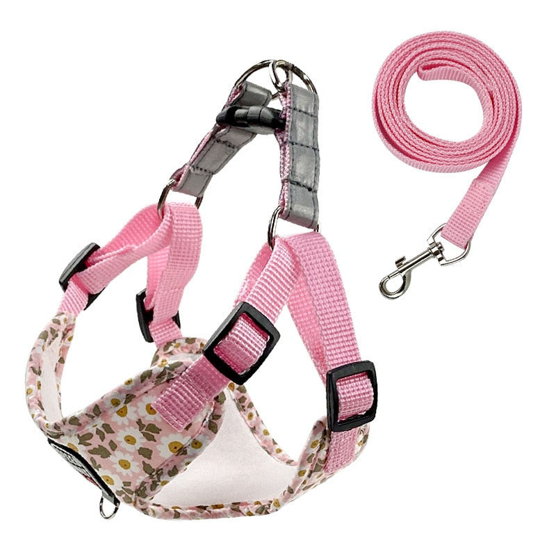 fashion printed nylon dog harness4